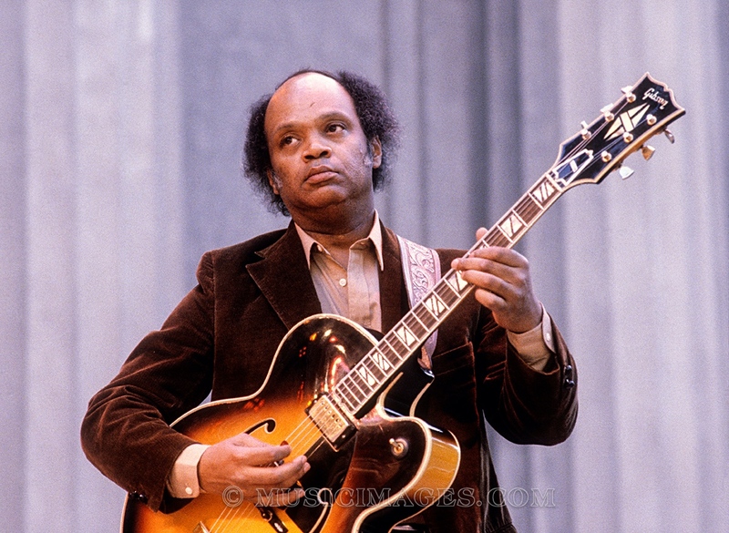 C262-17.jpg :: Eric Gale - Greek Theater, Berkeley, Ca - May, 1980