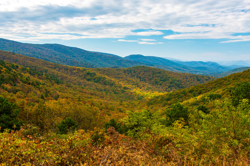 1 Shenandoah National Park.jpg