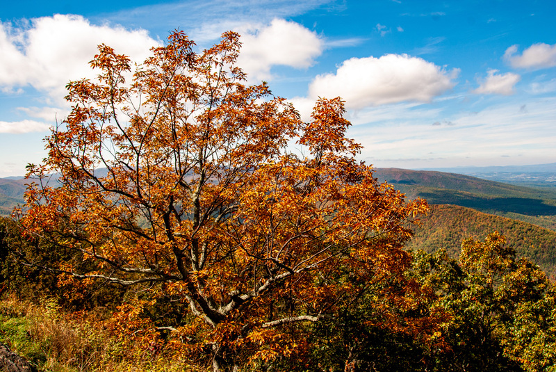 1 SkyLine Drive .jpg