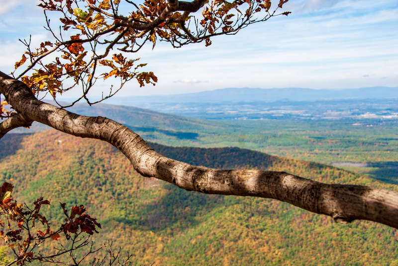 12  SkyLine Drive.jpg