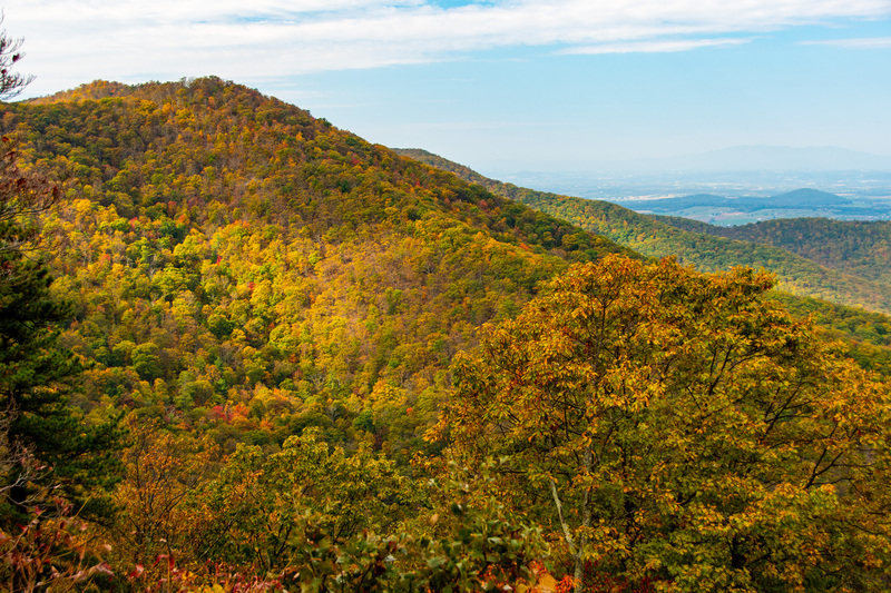 12 Shenandoah National Park.jpg