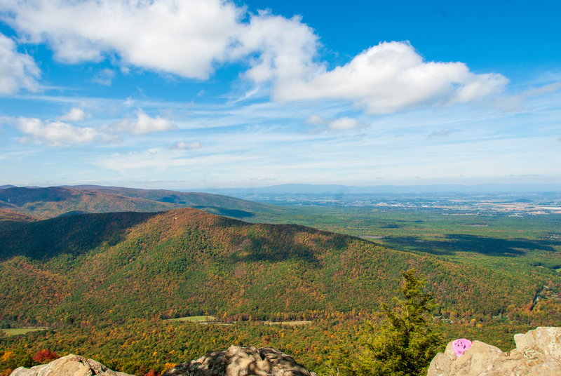 13 Blue Ridge PKWY.jpg