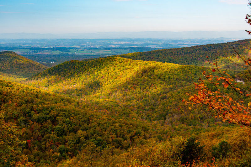 13 Shenandoah National Park.jpg