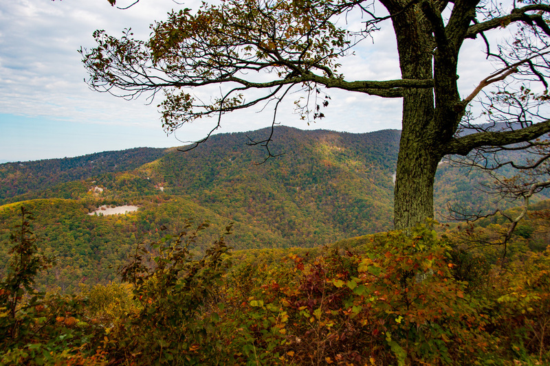 14 Shenandoah National Park.jpg