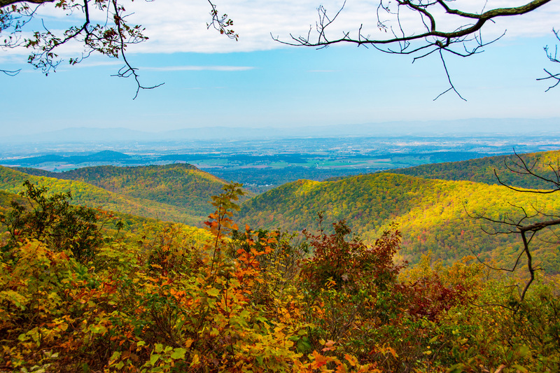 15 Shenandoah National Park.jpg