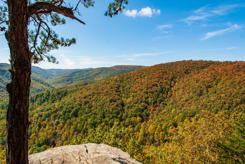 19 SkyLine Drive.jpg