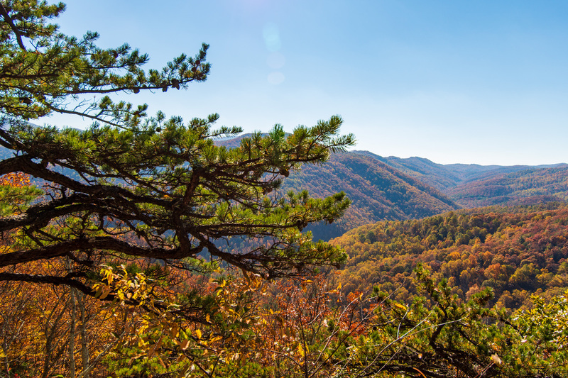 24 Shenandoah National Park.jpg
