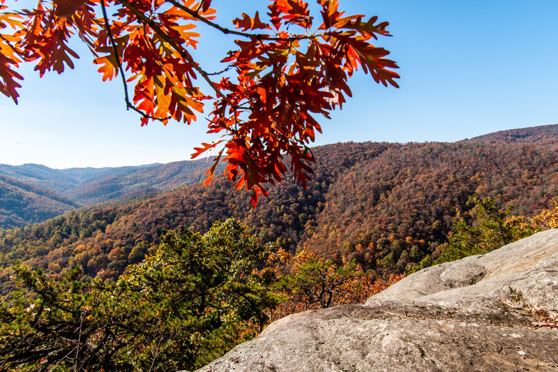 25 Shenandoah National Park.jpg