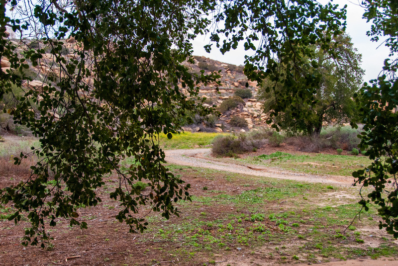 25 Simi Valley(1).jpg