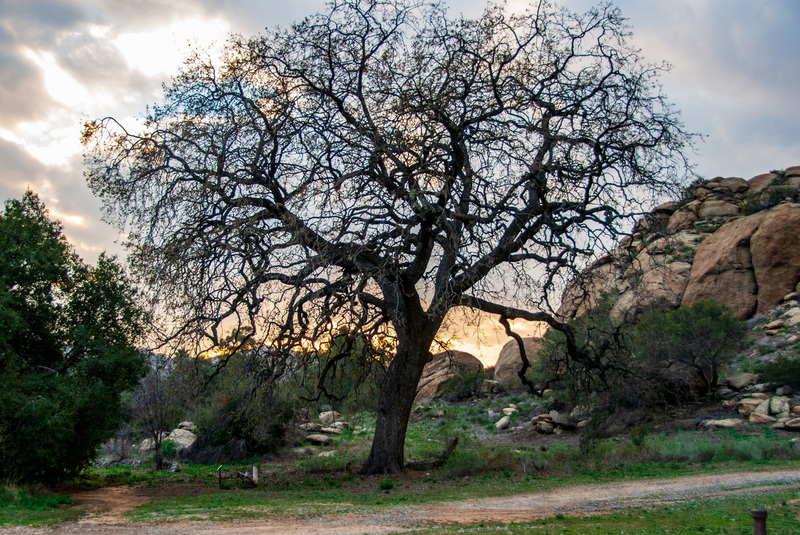 27 Simi Valley.jpg