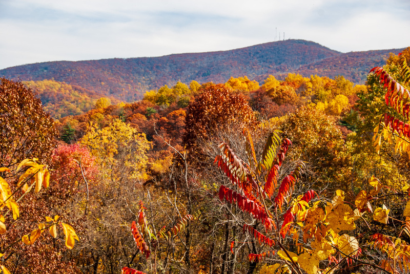 28 SkyLine Drive.jpg
