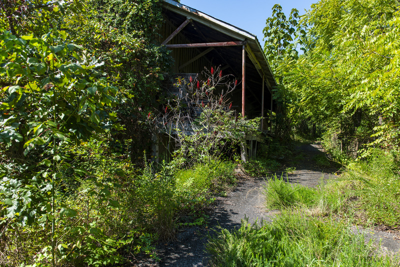 29 Henry River Mill Village.jpg