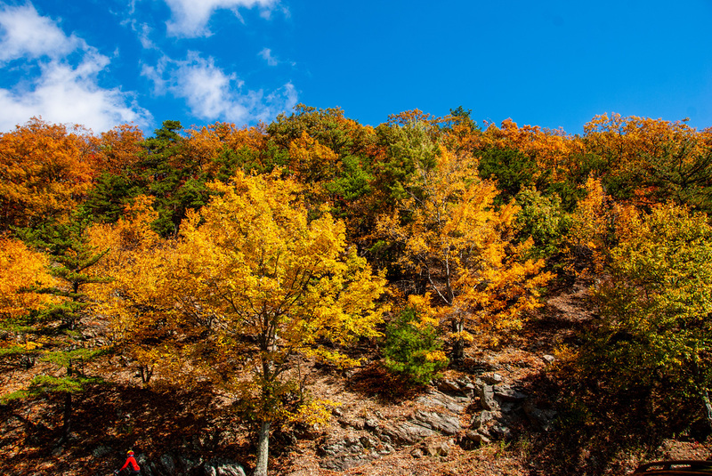 29 SkyLine Drive.jpg