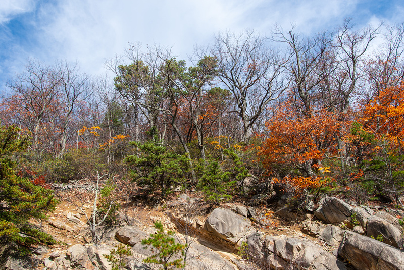31SkyLine Drive.jpg