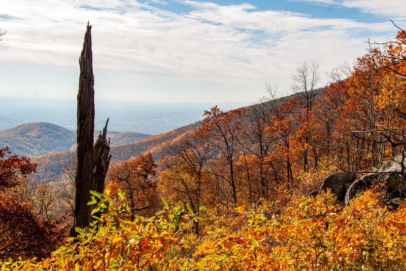 32 SkyLine Drive.jpg