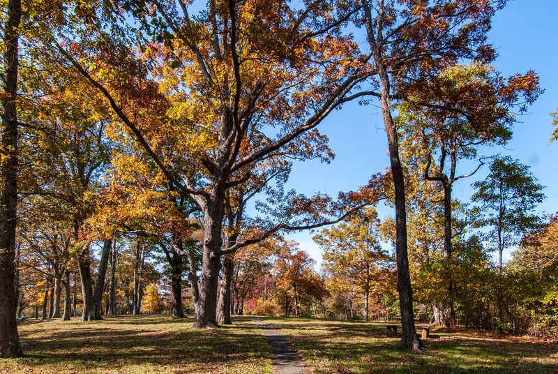 33 Shenandoah National Park.jpg