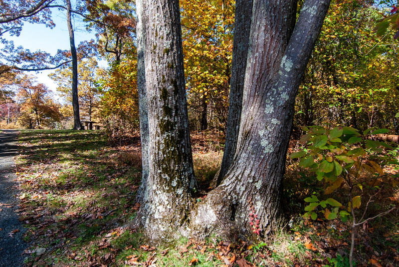 34 Shenandoah National Park.jpg