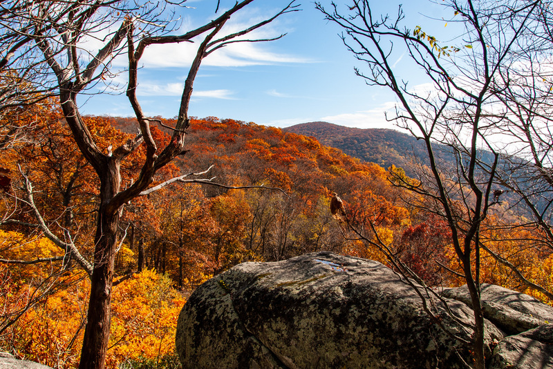 34 SkyLine Drive.jpg
