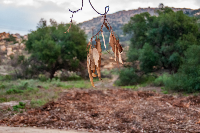 37  Simi Valley.jpg