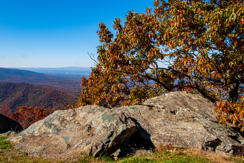 38 Shenandoah National Park.jpg