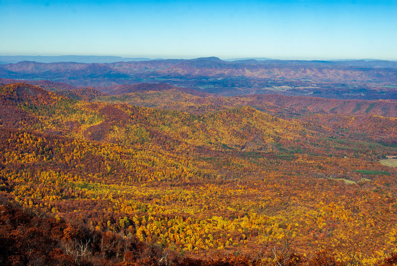 40 SkyLine Drive.jpg