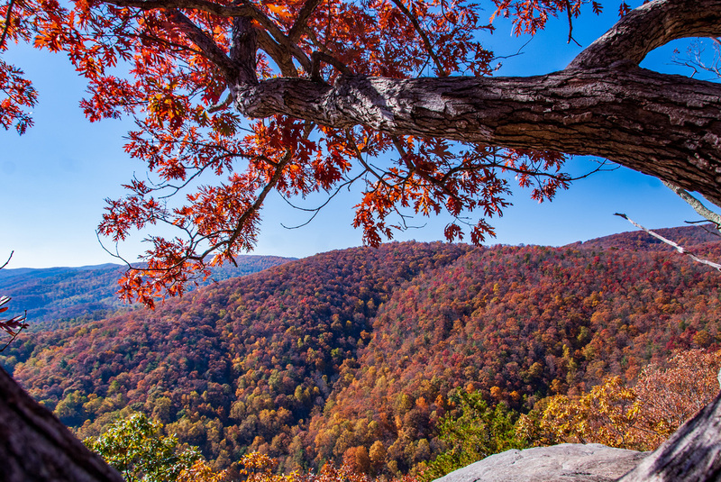 42 Shenandoah National Park.jpg