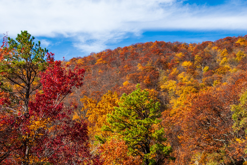 43 SkyLine Drive.jpg