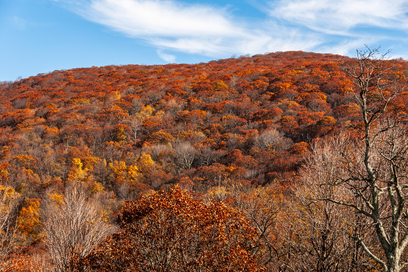 44 SkyLine Drive.jpg