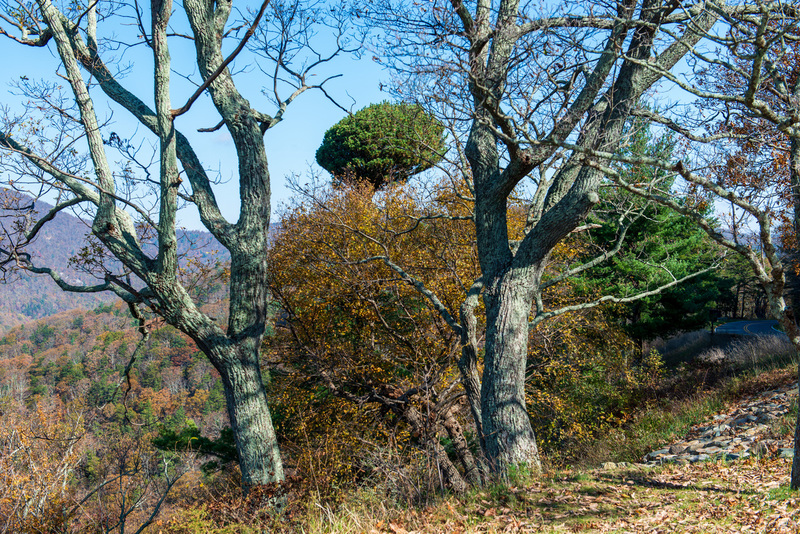 45 Shenandoah National Park.jpg