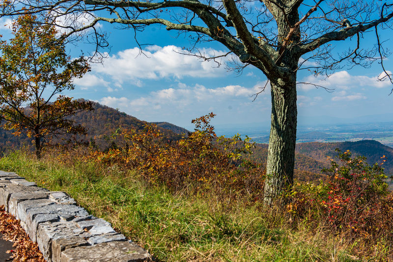 47 Shenandoah National Park.jpg