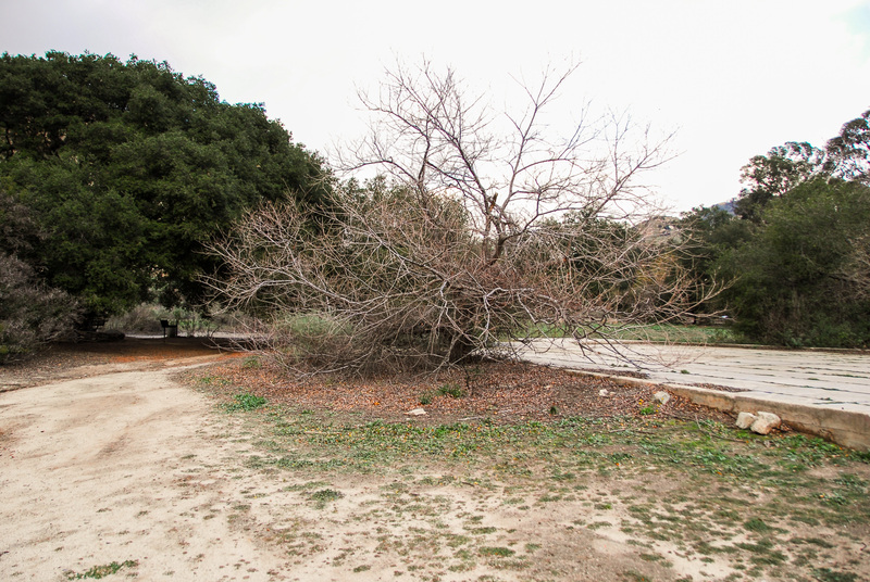 49  Simi Valley.jpg