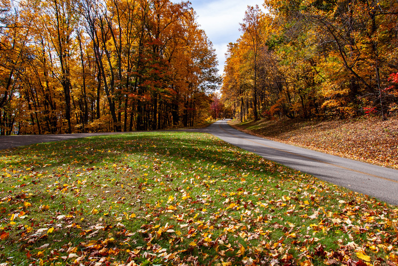49 SkyLine Drive.jpg