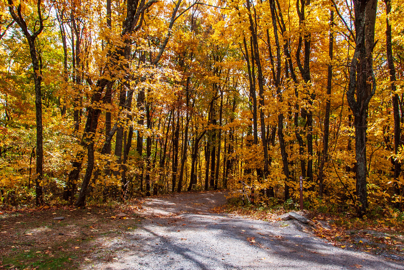 50 SkyLine Drive.jpg