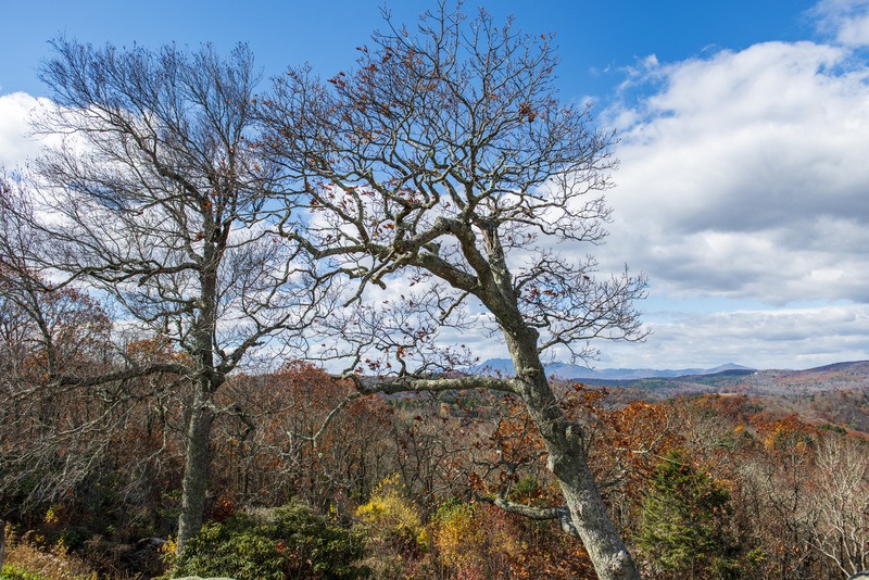 51 Blue Ridge PKWY Blowing Rock NC.jpg