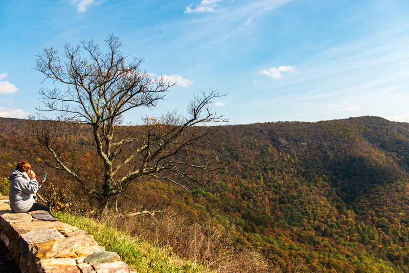 51 Shenandoah National Park.jpg