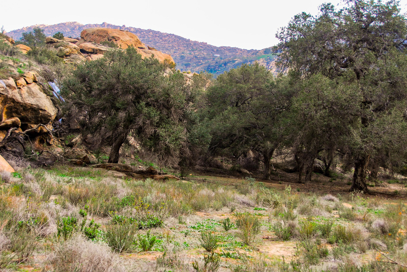 58  Simi Valley(1).jpg
