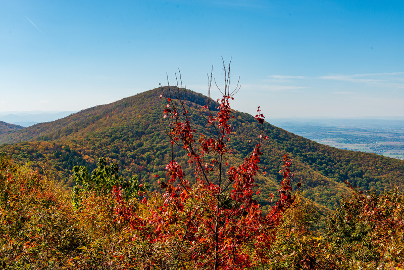 60 Shenandoah National Park.jpg