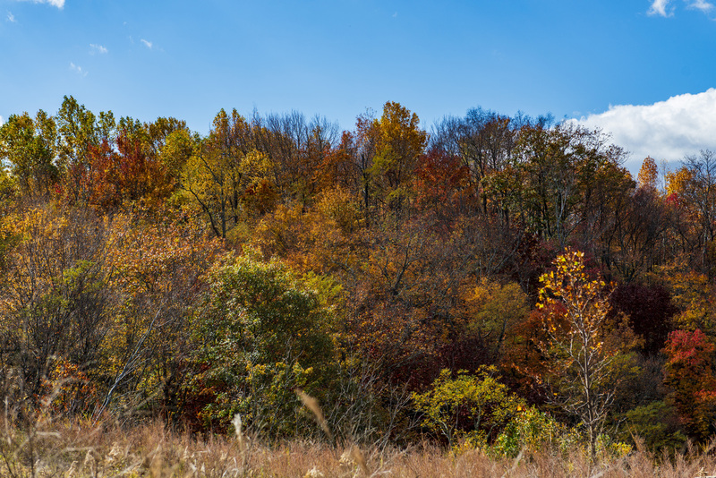 62 Blue Ridge PKWY Blowing Rock NC.jpg