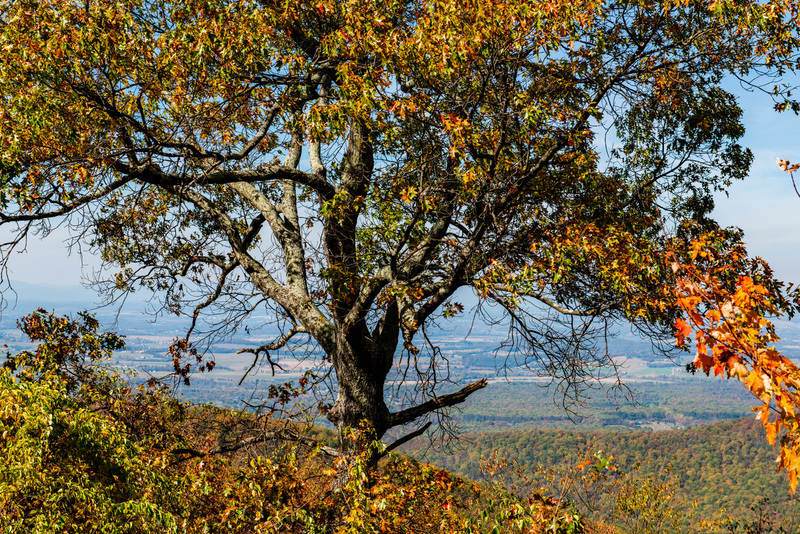 65 Shenandoah National Park.jpg