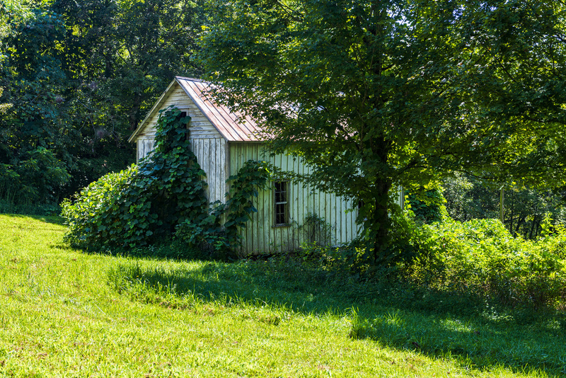 66 Henry River Mill Village.jpg