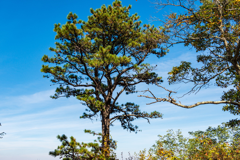 68 Shenandoah National Park.jpg