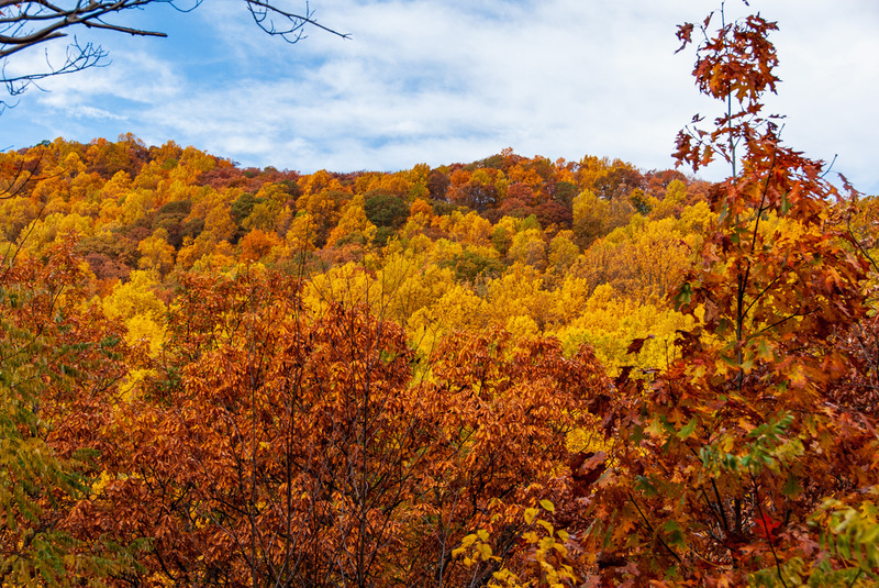 69 Blue Ridge PKWY(2).jpg