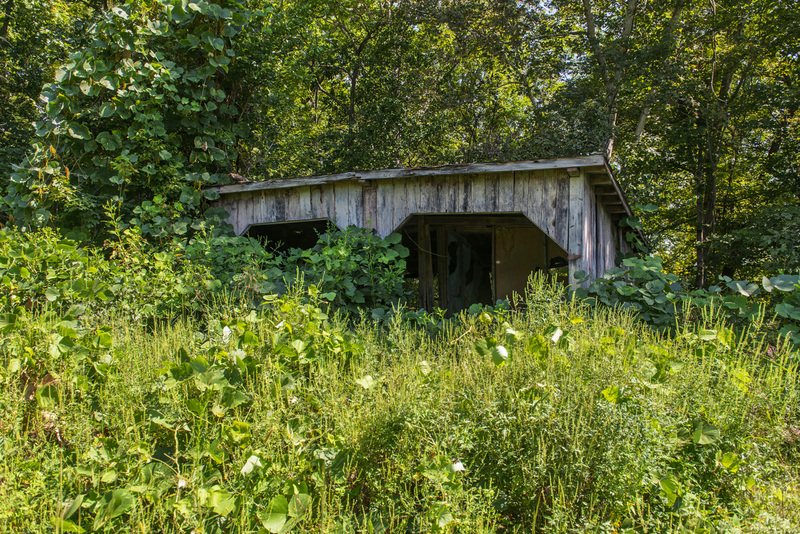 69 Henry River Mill Village.jpg