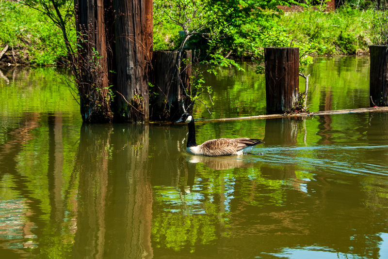 72 Riverfront Canal Cruises.jpg