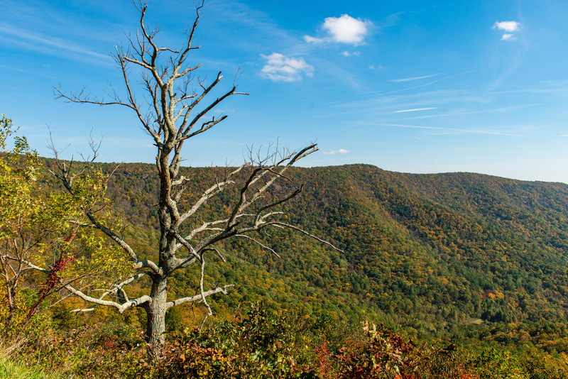 74 Shenandoah National Park.jpg