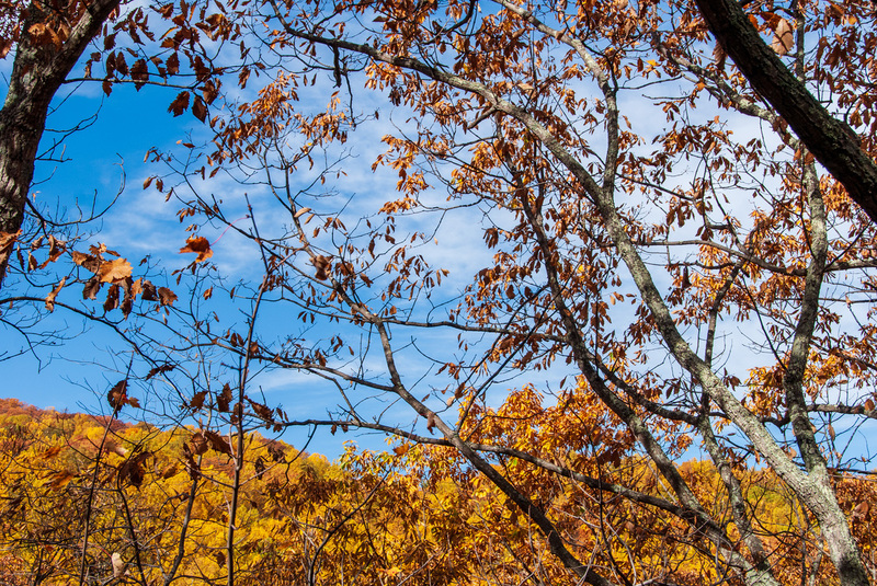 81 Blue Ridge PKWY(2).jpg