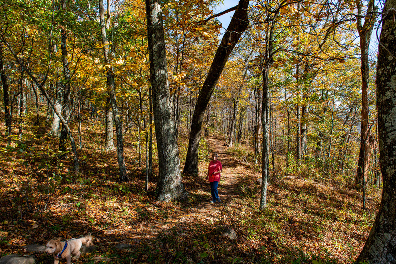 82 Shenandoah National Park.jpg
