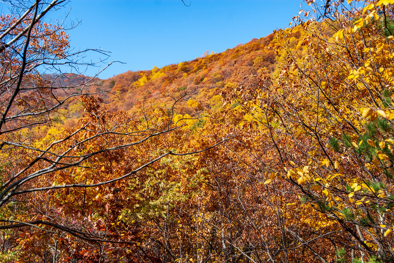 84 Blue Ridge PKWY(2).jpg