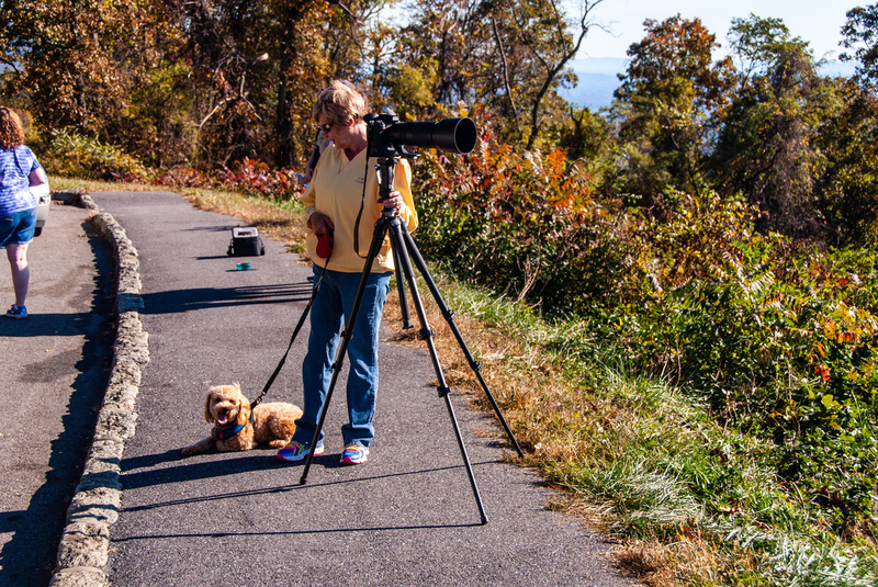85 Shenandoah National Park.jpg