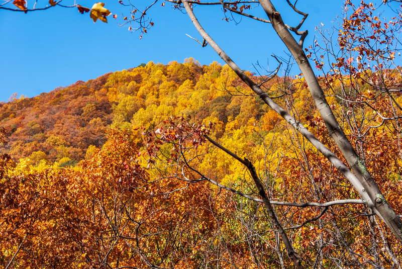 86 Blue Ridge PKWY(2).jpg